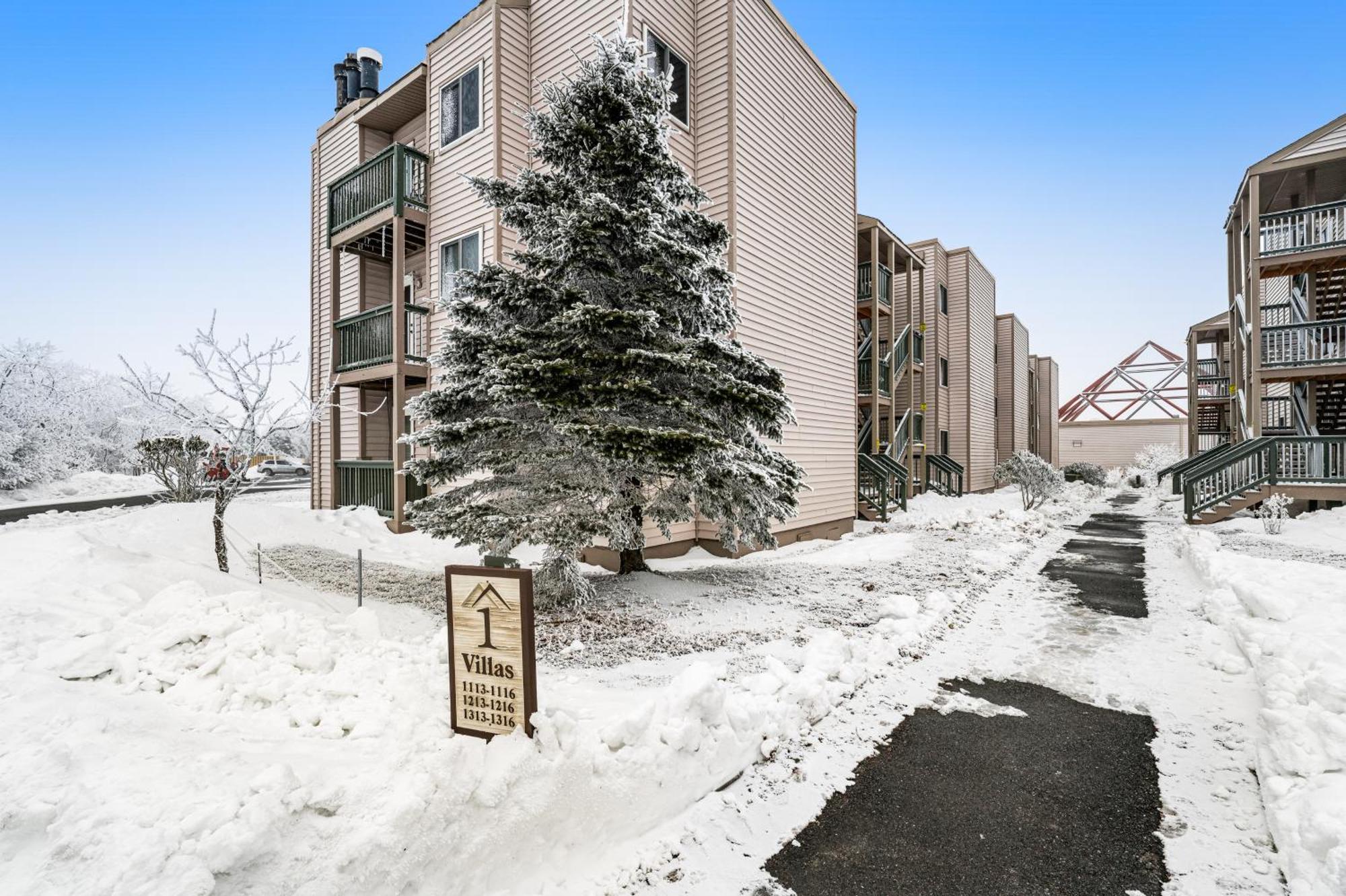Pinnacle Beech Mountain Quarto foto